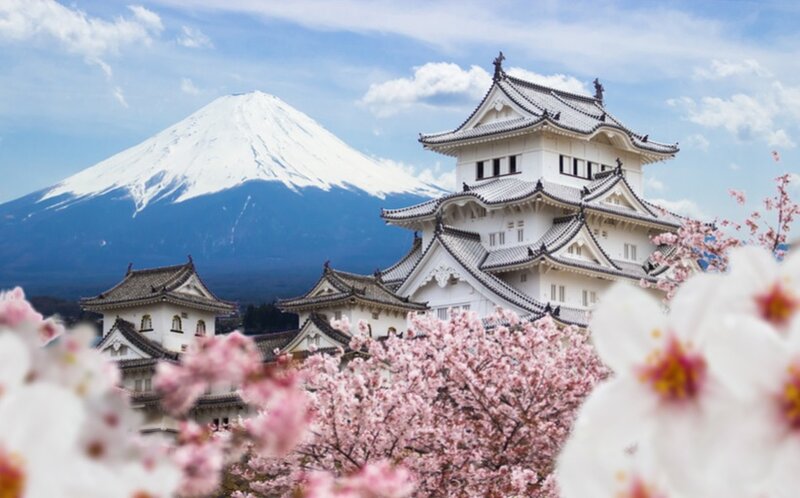 A pink cherry blossom pagoda takes inspiration from the delicate beaut